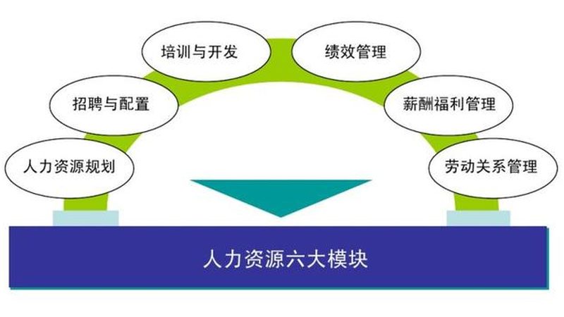 劳务派遣员工培训：提升效能的关键要素**