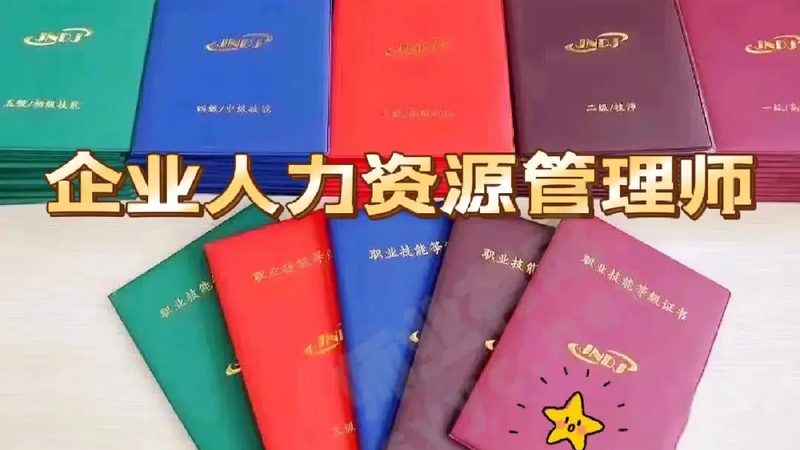 人力资源战略规划：构建企业发展的坚实基石**